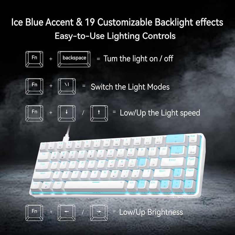 DIERYA DK68SE 60% Gaming Mechanical Keyboard,Ultra Compact Mini 68 Key with Blue Switches Wired Keyboard,Anti-Ghosting Keys, for Windows Laptops and PC Gamers,White - Image 4
