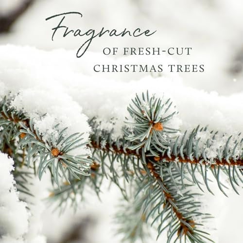 Thymes Frasier Fir Votive Candle Set of 3 - Scented Candles for Home - Luxury Home Fragrance Gifts for Women & Men - Home Decor (Pack of 3-2 Oz) - Image 5