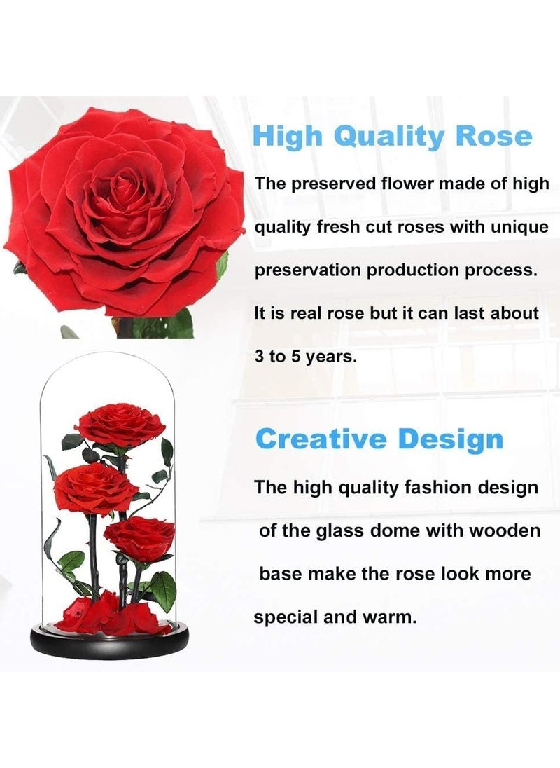 Festive Gallery Handmade Preserved Large Rose Forever Never Withered Flowers,Gift for Wedding,Anniversary,Birthday, Mother's Day Gift, Best Gift for Her Rose (Triple Roses 17cm*32cm, Red)  - Image 2