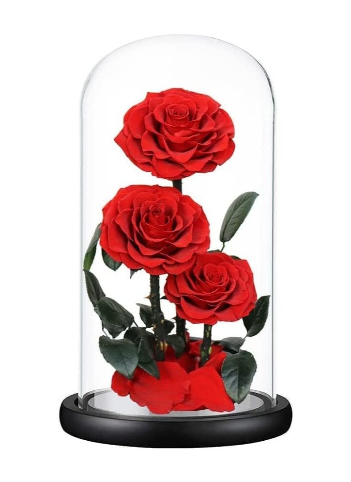 Festive Gallery Handmade Preserved Large Rose Forever Never Withered Flowers,Gift for Wedding,Anniversary,Birthday, Mother's Day Gift, Best Gift for Her Rose (Triple Roses 17cm*32cm, Red)  - Image 4