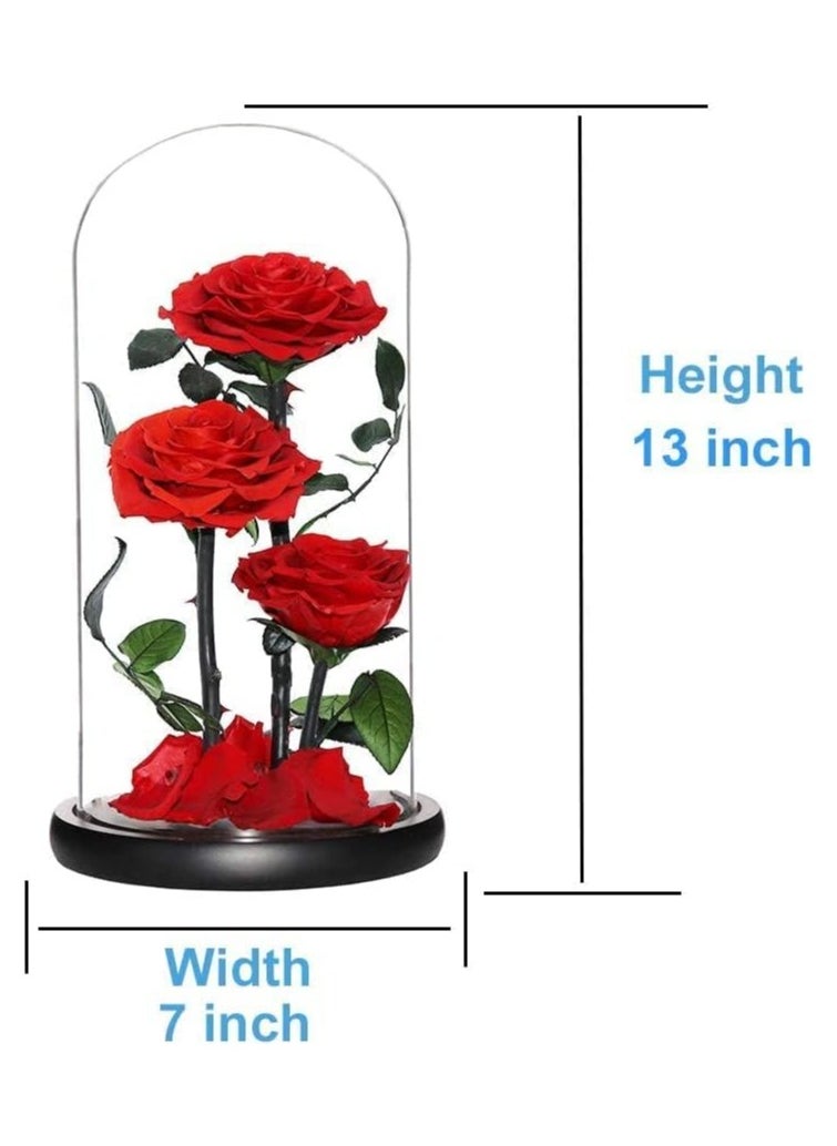 Festive Gallery Handmade Preserved Large Rose Forever Never Withered Flowers,Gift for Wedding,Anniversary,Birthday, Mother's Day Gift, Best Gift for Her Rose (Triple Roses 17cm*32cm, Red)  - Image 5