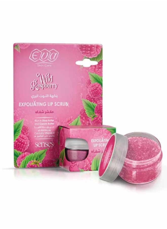 Eva - SKIN CARE EXFOLIATING LIP SCRUB RASPBERRY FLAVORED 20 GM - Image 1