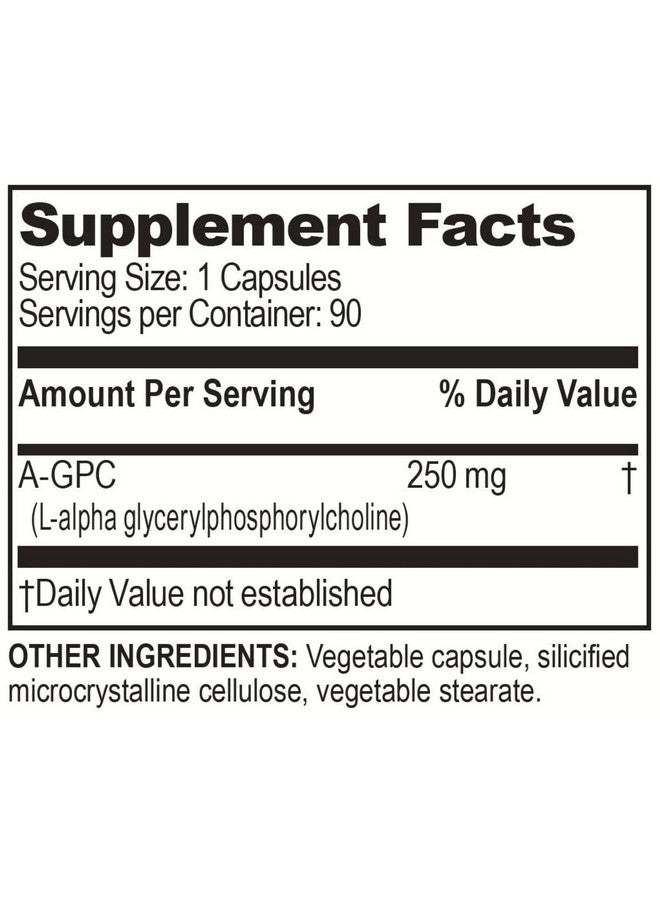 Brain-Bean Brain Basics Ultra Alpha-GPC | 500 mg A-GPC | 90 Servings - Image 2