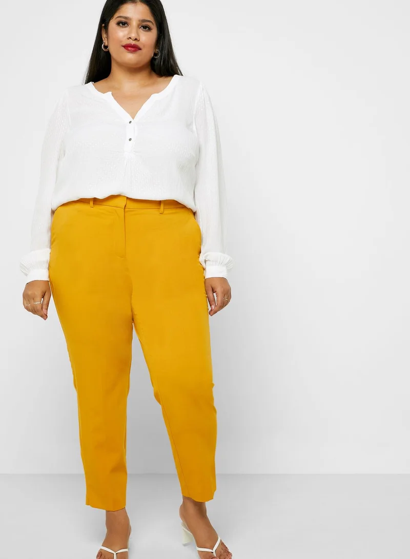 dp curve Ankle Grazer Pants