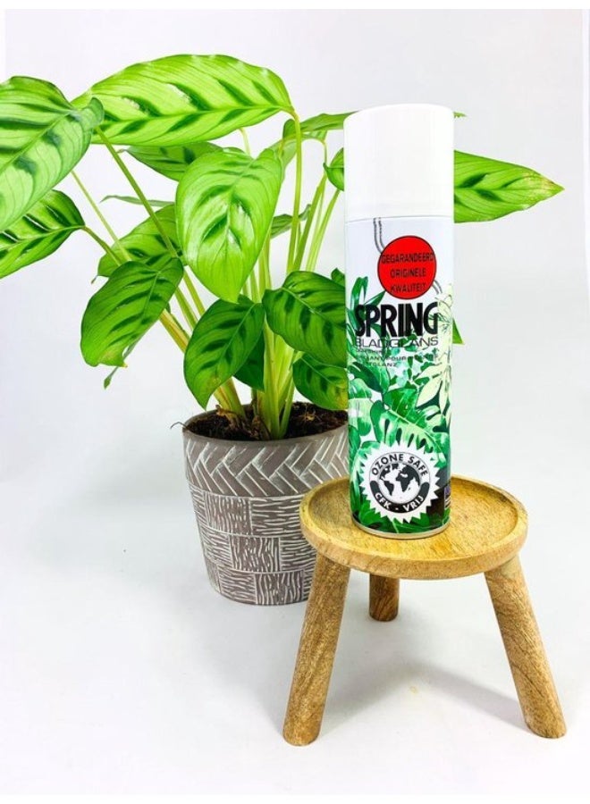 SPRING Leaf polish for indoor plants - Image 1