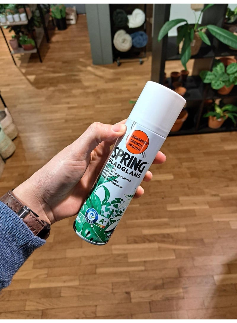 SPRING Leaf polish for indoor plants - Image 2