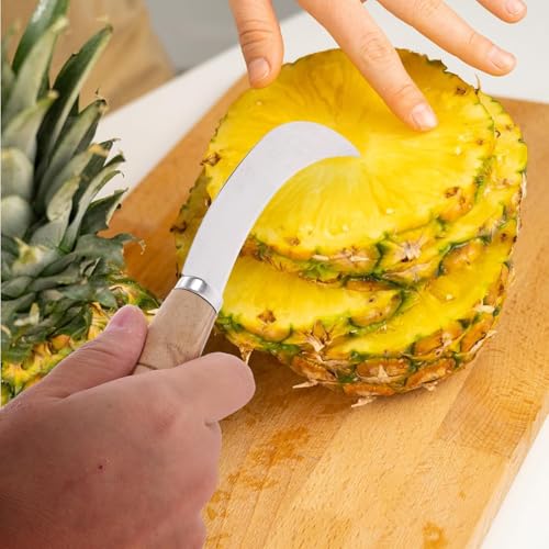 Prostuff.in® Multipurpose Stainless Steel Curved Shape Fruit Peeling & Vegetable Cutting Knife Hand Held Tool Farming Paring for Mango Pine Apple Grass Cutter Home Restaurant Silver Color 1 Pcs - Image 4