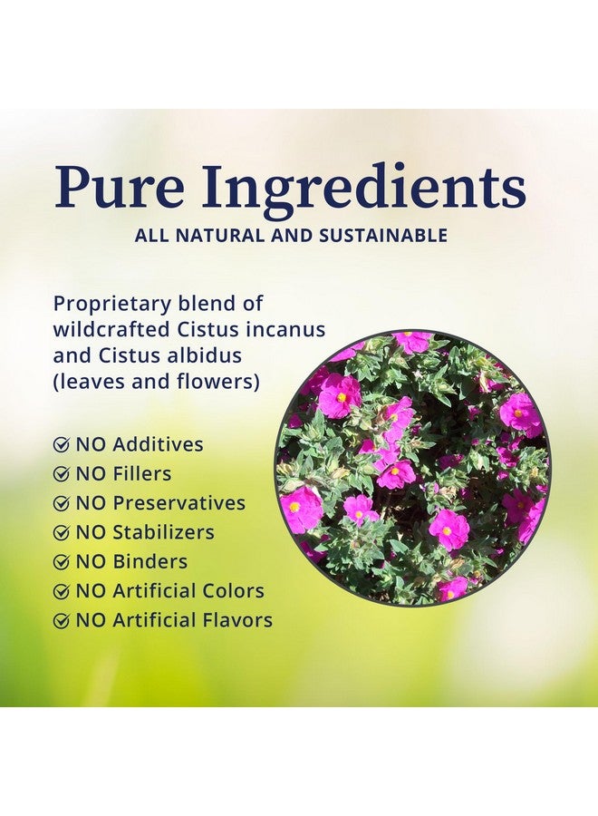 BioPure Cistus Loose Tea - Wildcrafted Cistus Incanus & Cistus Albidus Rich in Antioxidants, Polyphenols & Bioflavonoids great for Immune Function, the Gut, and Overall Wellness - 3.5oz - Image 2