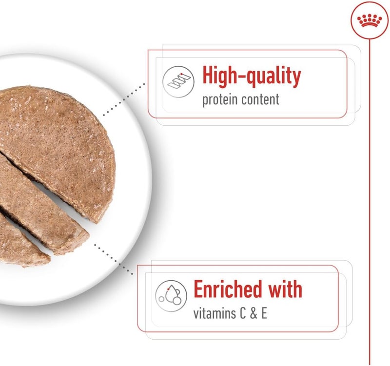 Royal Canin Medium Adult Wet Dog Food - 12 Cans - Image 5