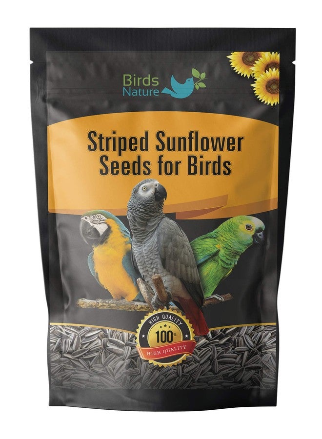 BirdsNature بذور دوار الشمس المستوردة من بيردز ناتشر، حجم كبير، غذاء للببغاء الرمادي، والببغاء الهندي، والمكاو، والكوكاتو، والطيور الغريبة (500 غرام) - Image 2