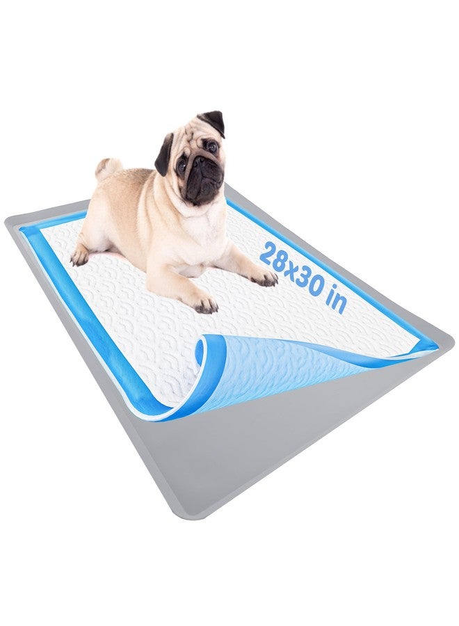 Skywin TidyFriend Dog Pee Pad Holder Tray Fits for 28” x 30” Wee Wee Pee Pads - Stable Grip, Raised Edges, Quick-Wipe Silicone Surface Dog Potty Tray Holder for Indoor Flooring Protection (Light Grey) - Image 1
