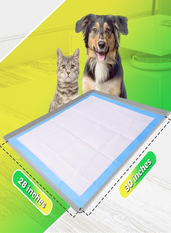 Skywin TidyFriend Dog Pee Pad Holder Tray Fits for 28” x 30” Wee Wee Pee Pads - Stable Grip, Raised Edges, Quick-Wipe Silicone Surface Dog Potty Tray Holder for Indoor Flooring Protection (Light Grey) - Image 2