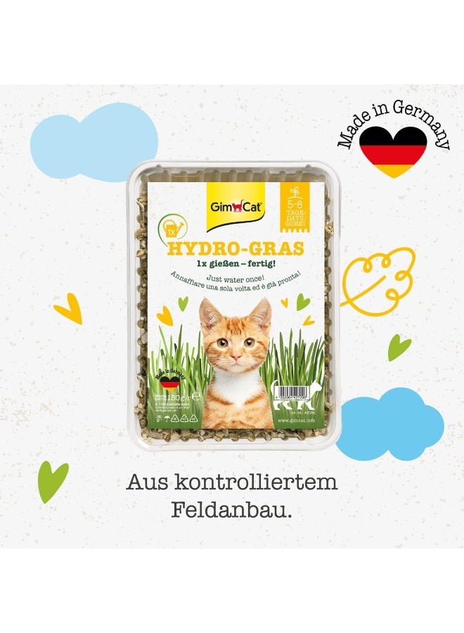 جيم كات ہائیڈرو گراس کیٹ گراس گروونگ کٹ، 1 ٹرے (150 گرام) - 5-8 دنوں میں آسانی سے تازہ بلی گھاس اگائیں، ہاضمے اور بالوں کو کنٹرول کرنے میں مدد کرتی ہیں - Image 3
