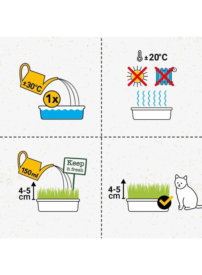 جيم كات ہائیڈرو گراس کیٹ گراس گروونگ کٹ، 1 ٹرے (150 گرام) - 5-8 دنوں میں آسانی سے تازہ بلی گھاس اگائیں، ہاضمے اور بالوں کو کنٹرول کرنے میں مدد کرتی ہیں - Image 5