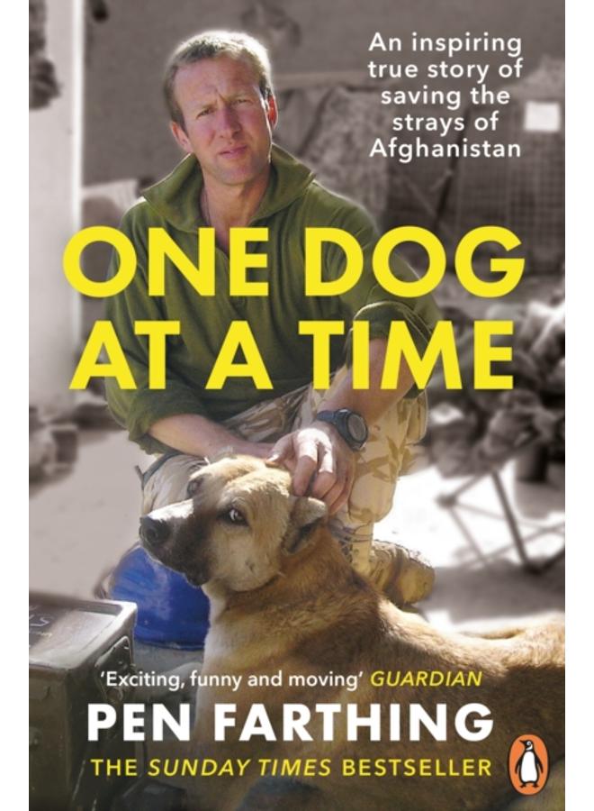 One Dog at a Time : An inspiring true story of saving the strays of Afghanistan 