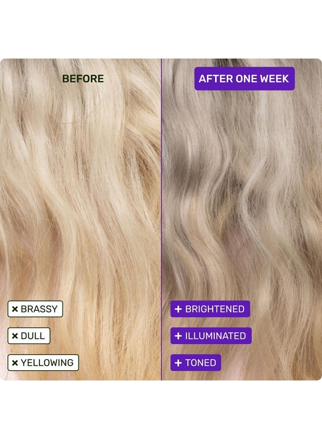 Ethique Purple Conditioner Bar for toning brassy hair - Plastic-Free, Cruelty-Free, Vegan, 2.12 oz - Formerly Tone it Down - Image 3