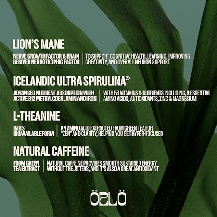 ORLO BRAIN PERFORMANCE BAR – Vegan Protein Bars for Brain & Energy Support – Focus & Memory, Pre & Post Workout Recovery – Gluten Free Snack with L-Theanine, Lions Mane, Spirulina & More (SINGLE BAR) - Image 5