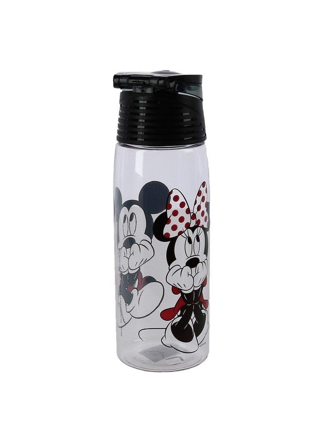 Jerry Leigh Disney Mickey and Minnie Mouse Acrylic Flip Top Water Bottle, Clear - Image 2