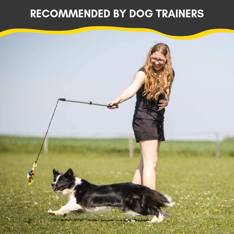 YES4QUALITY Flirt Pole for Dogs - Safe & Strong for Large Breeds w/Non-Bungee Cord - Spring Pole for Tug of War, Interactive Play & Puppy Training - Heavy-Duty Teaser Wand for Outdoor Exercise - Image 2