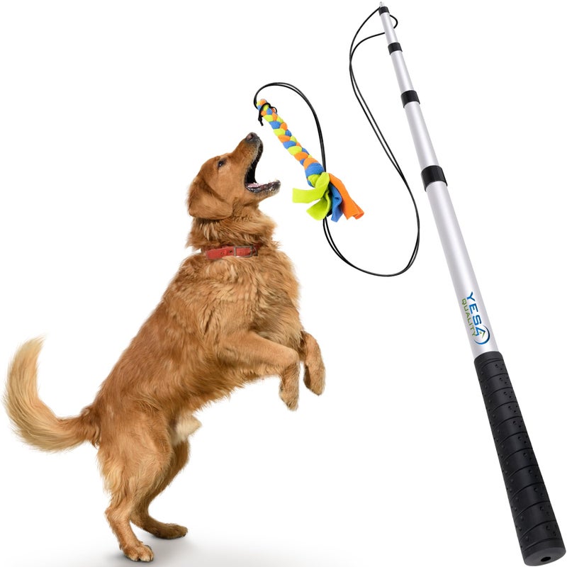 YES4QUALITY Flirt Pole for Dogs - Safe & Strong for Large Breeds w/Non-Bungee Cord - Spring Pole for Tug of War, Interactive Play & Puppy Training - Heavy-Duty Teaser Wand for Outdoor Exercise - Image 1