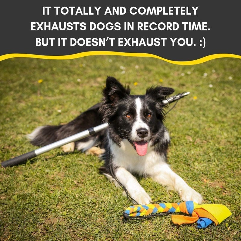 YES4QUALITY Flirt Pole for Dogs - Safe & Strong for Large Breeds w/Non-Bungee Cord - Spring Pole for Tug of War, Interactive Play & Puppy Training - Heavy-Duty Teaser Wand for Outdoor Exercise - Image 5