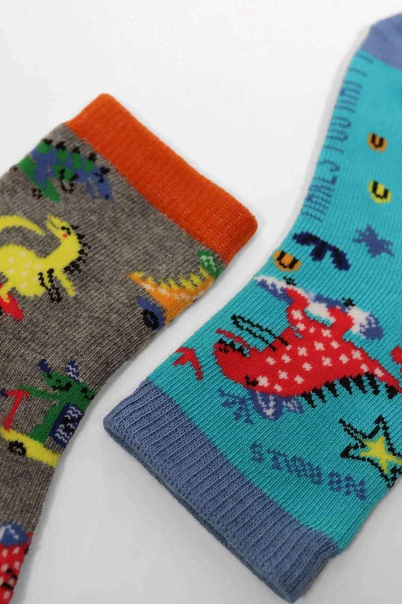 Katia&Bony 2-Pack Dino Patterned Baby Socks
