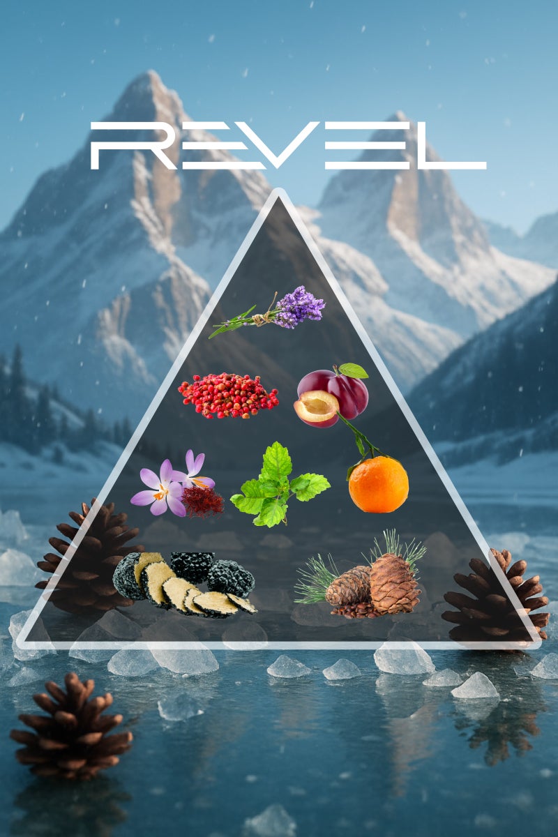 Grace Perfumes Revel 100ml EDP – The Essence of Sophistication - Image 5