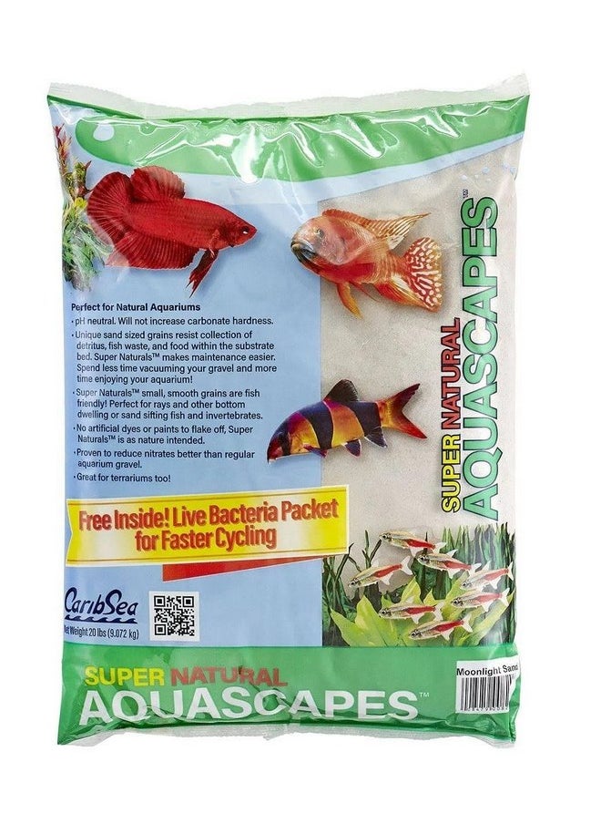 Carib Sea Carib Sea ACS05820 Super Natural Moonlight Sand for Aquarium, 5-Pound  - Image 2
