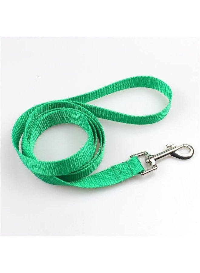 Nylon Dog Leash, Solid Colour, Metal Clip, Walking Lead for Dogs, Available in Green, Red, and Blue - Image 1