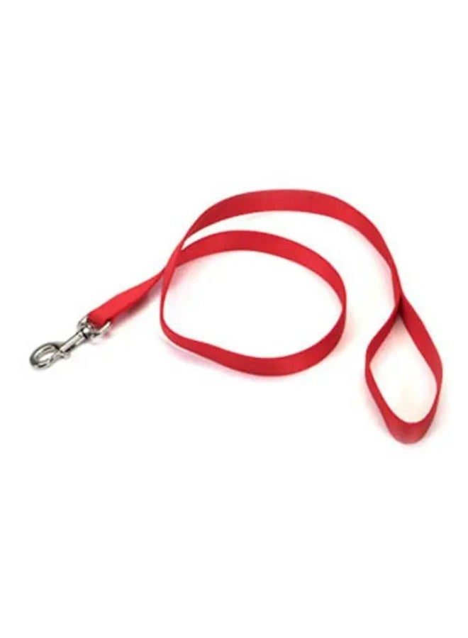 Nylon Dog Leash, Solid Colour, Metal Clip, Walking Lead for Dogs, Available in Green, Red, and Blue - Image 2