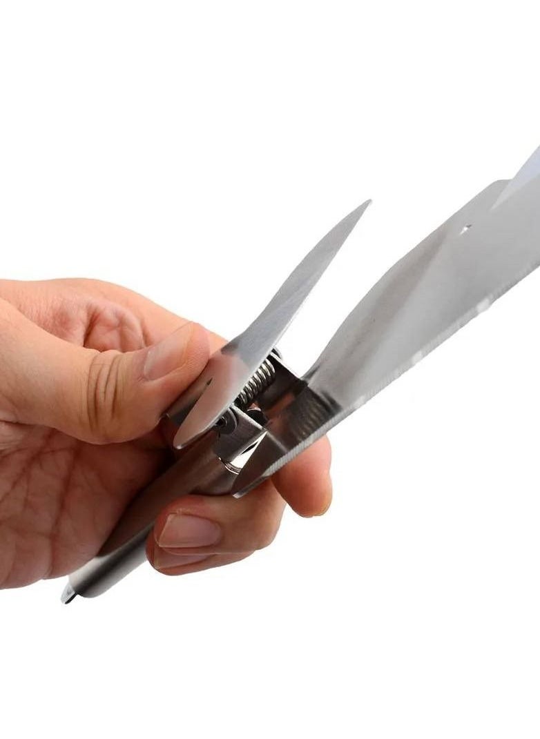 Master Chef - Stainless Pizza Cutter And Server - Image 1