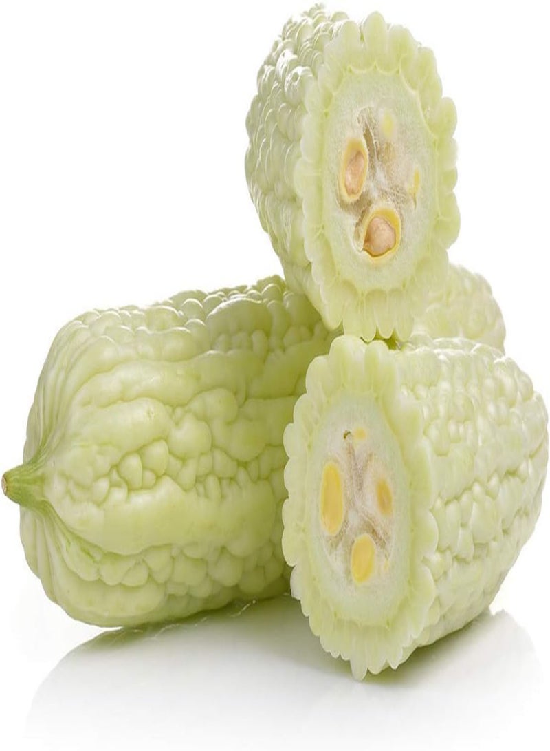 جي جوت 100 قطعة من بذور القرع المر المختلطة غير المعدلة وراثيًا، تلقيح مفتوح، مجموعة متنوعة من القرع المر بألوان زاهية لتزيين الحديقة وحصاد مومورديكا الغني في الفناء - Image 3