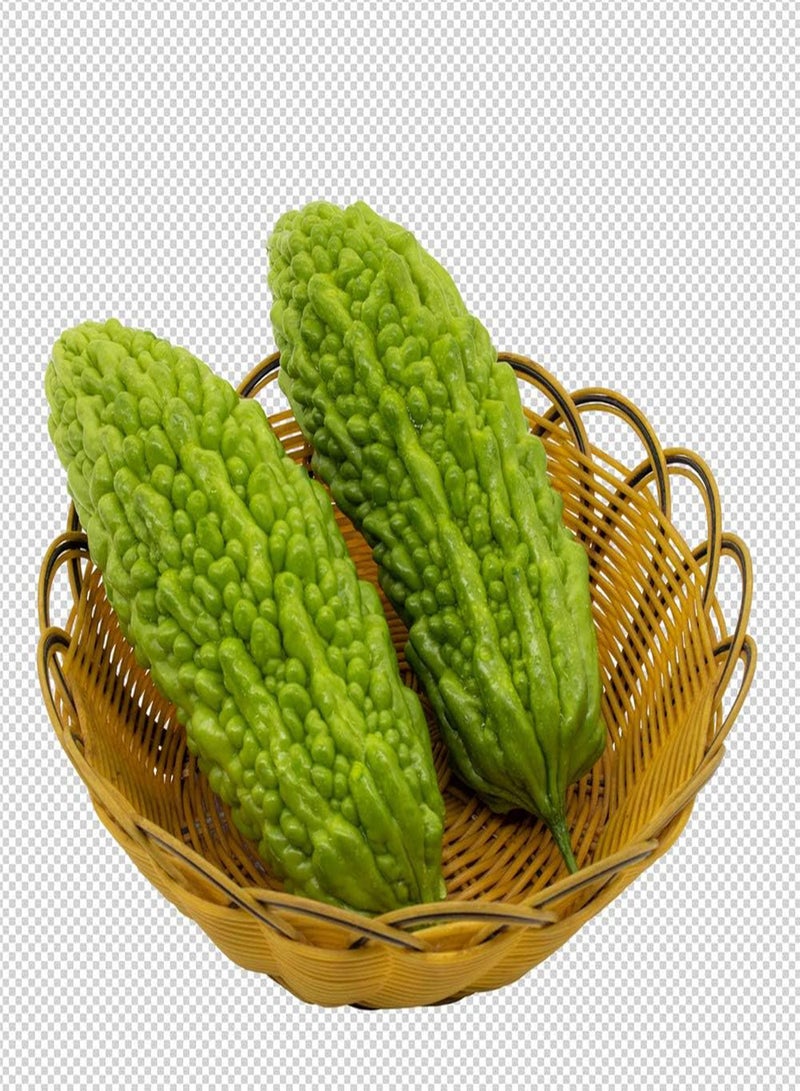 جي جوت 100 قطعة من بذور القرع المر المختلطة غير المعدلة وراثيًا، تلقيح مفتوح، مجموعة متنوعة من القرع المر بألوان زاهية لتزيين الحديقة وحصاد مومورديكا الغني في الفناء - Image 4