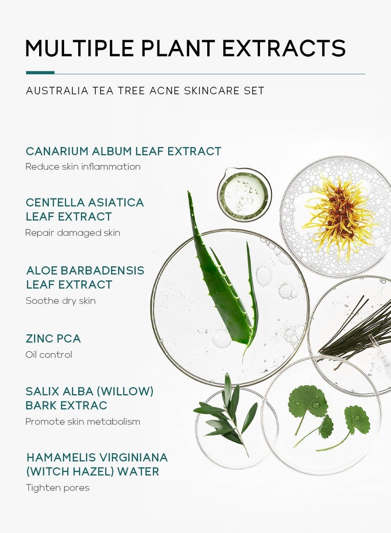 Laikou Tea Tree Acne Skincare Set, Cleanser, Toner, Serum, Cream, Gel for Acne Treatment, Oil Control & Pore Shrinking for Teens & Women, Essential Everyday Beauty Kit - Image 3