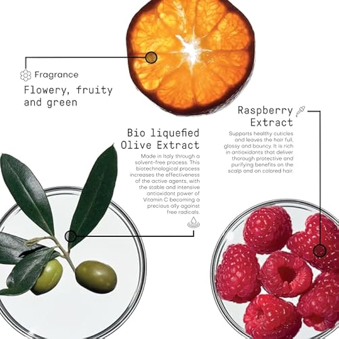 FRAMESI Morphosis Color Protect Conditioner 8.4 fl oz - Image 5