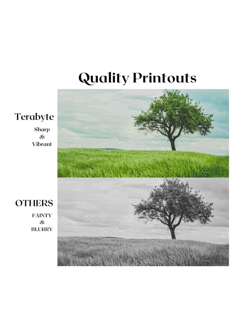 تيرابايت CLT808S حبر أسود متوافق - Image 2