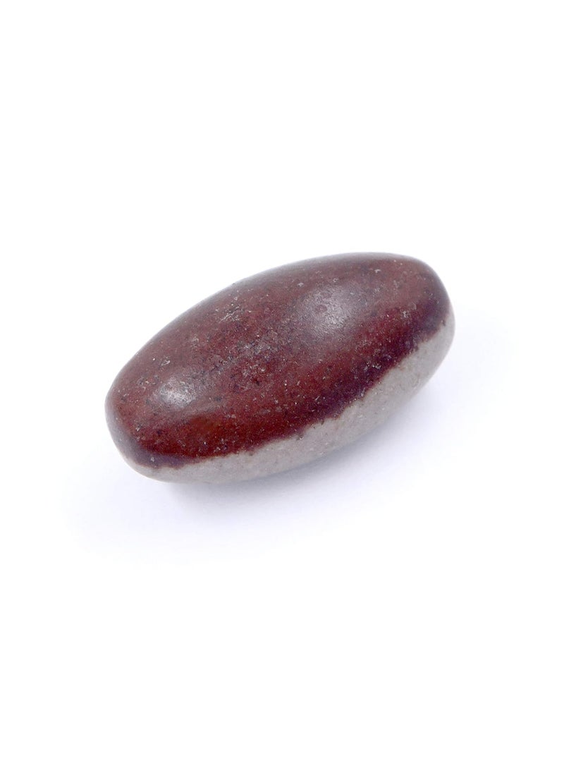 PANDIT NM SHRIMALI PANDIT NM SHRIMALI Natural Ardhanareshwar Narmadeshwar Shivling Stone from River Narmada for Jaldhari Stand Pooja Abhishek for Lord Shiva Ji Home Office 1 Inch  - Image 2