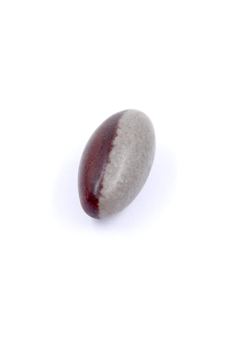 PANDIT NM SHRIMALI PANDIT NM SHRIMALI Natural Ardhanareshwar Narmadeshwar Shivling Stone from River Narmada for Jaldhari Stand Pooja Abhishek for Lord Shiva Ji Home Office 1 Inch  - Image 3