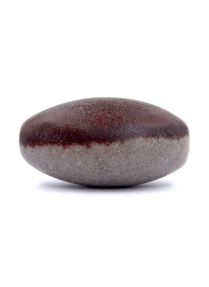 PANDIT NM SHRIMALI PANDIT NM SHRIMALI Natural Ardhanareshwar Narmadeshwar Shivling Stone from River Narmada for Jaldhari Stand Pooja Abhishek for Lord Shiva Ji Home Office 1 Inch  - Image 1