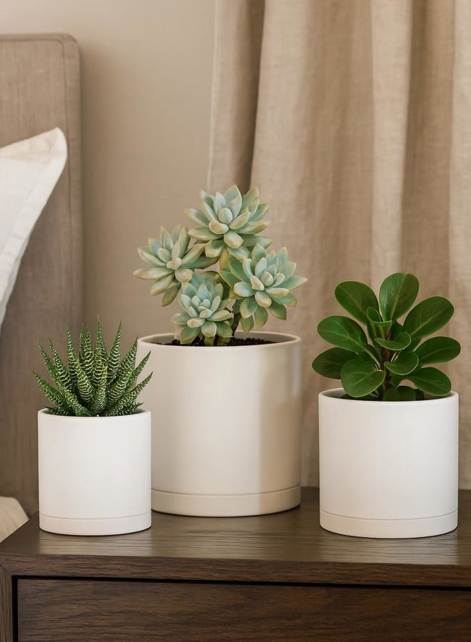 D'vine Dev 4 Inch 5 Inch 6 Inch, Set of 3 Plastic Planter Pots for Plants with Drainage Hole and Seamless Saucers, Oatmeal, Small, 74-V-H-1 - Image 5