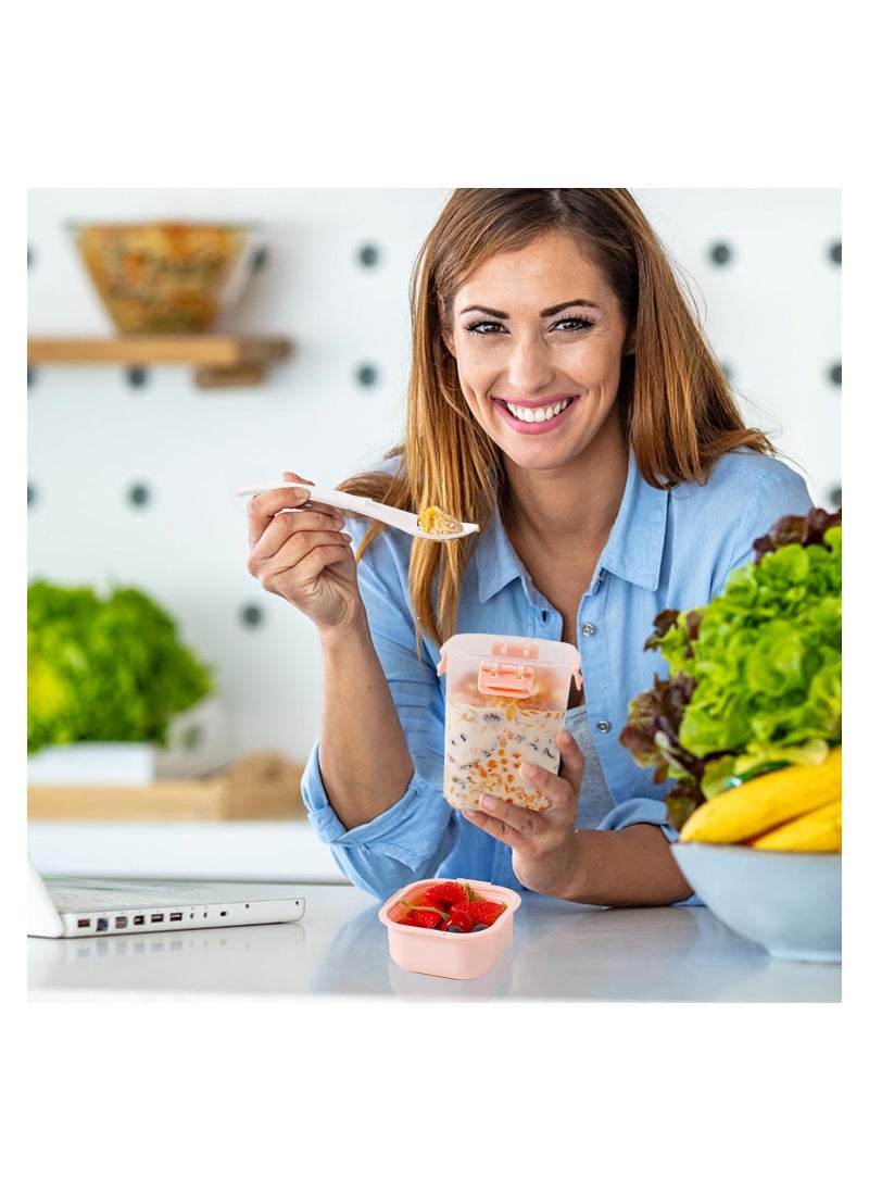 Overnight Oats Containers with lids and spoon, 2PCS Reusable Yogurt Parfait Cups with Ice Pack, Leak-proof Cereal Breakfast On The Go Cups, Large Capacity Plastic Dessert Cups (19oz Pink+Blue)