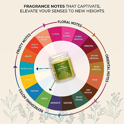 Aromahpure Scented Candle (45 hrs) (100% Soy Wax)- Handcrafted | Smoke-Free | Thai Lemongrass- Lemongrass Fragrance Candles for Home & Gift Sets - Image 3