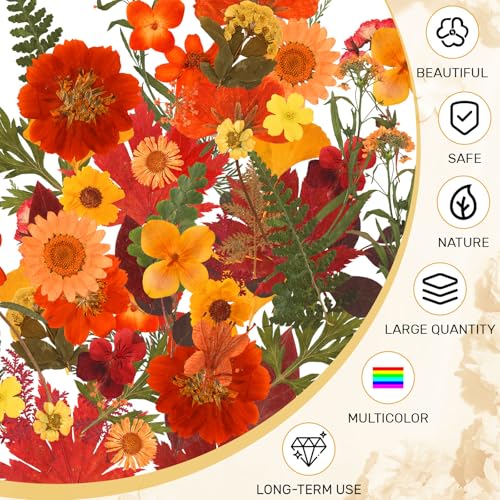 Augshy Fall Dried Pressed Flowers,100 Pcs Autumn Dried Flowers Leaves for Resin Molds Real Pressed Flowers for Crafts DIY Jewelry Molds, Scrapbooking, Candle - Image 4