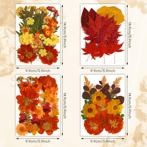 Augshy Fall Dried Pressed Flowers,100 Pcs Autumn Dried Flowers Leaves for Resin Molds Real Pressed Flowers for Crafts DIY Jewelry Molds, Scrapbooking, Candle - Image 2