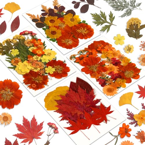 Augshy Fall Dried Pressed Flowers,100 Pcs Autumn Dried Flowers Leaves for Resin Molds Real Pressed Flowers for Crafts DIY Jewelry Molds, Scrapbooking, Candle - Image 1