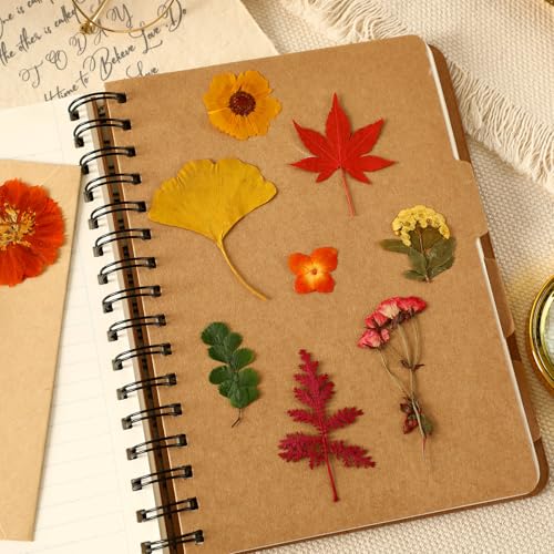 Augshy Fall Dried Pressed Flowers,100 Pcs Autumn Dried Flowers Leaves for Resin Molds Real Pressed Flowers for Crafts DIY Jewelry Molds, Scrapbooking, Candle - Image 3