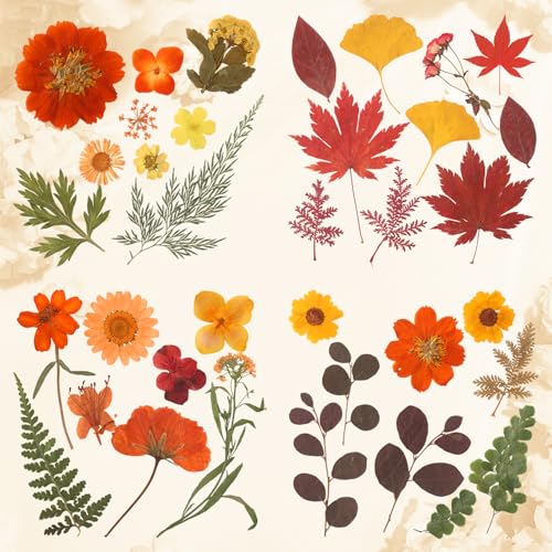 Augshy Fall Dried Pressed Flowers,100 Pcs Autumn Dried Flowers Leaves for Resin Molds Real Pressed Flowers for Crafts DIY Jewelry Molds, Scrapbooking, Candle - Image 5