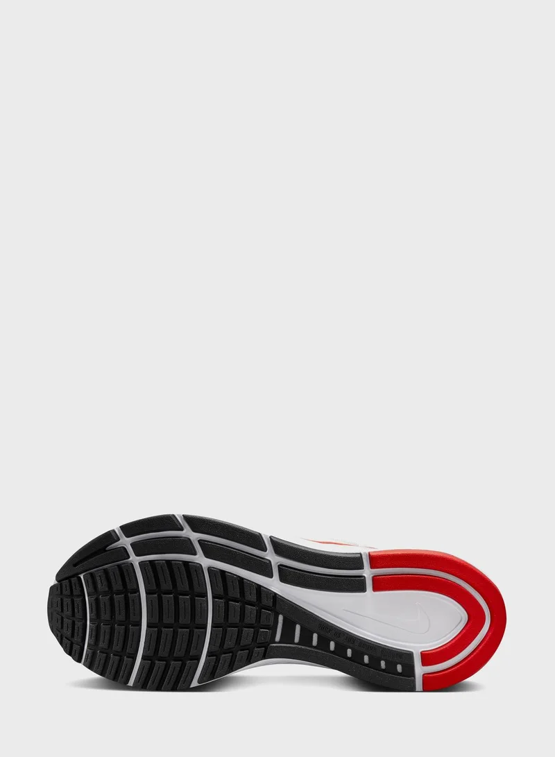 Nike Air Zoom Structure 24
