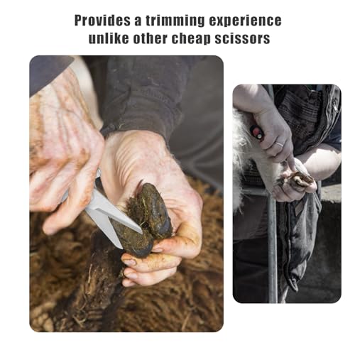 PEUTIER Goat Hoof Trimmers, Stainless Steel Hoof Trimming Tool with Spring Hooves Shears Sheep Nail Clippers for Pig, Horse, Livestock - Image 5