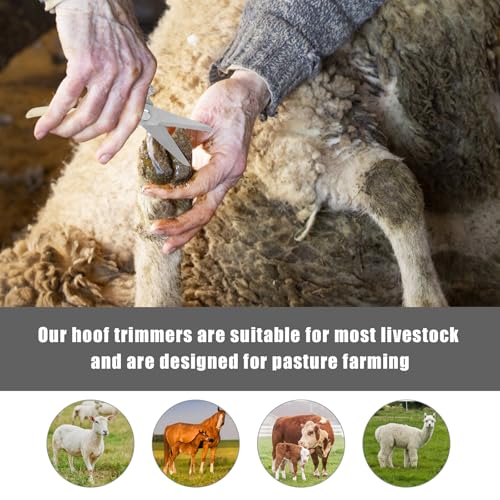 PEUTIER Goat Hoof Trimmers, Stainless Steel Hoof Trimming Tool with Spring Hooves Shears Sheep Nail Clippers for Pig, Horse, Livestock - Image 4